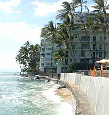 Diamond Head Ambassador